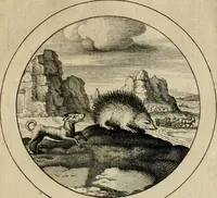 An illustration from Elegantissimorum emblematum corpusculum Latinis Belgicisque versibus elucidatum. Versameling van uytgeleesene sinne-beelden met latynse en nederduitse verklaringen in rym (1696)