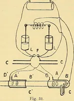 An illustration from Elektrizitäts-Durchgang in Gasen : (1906)