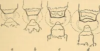 An illustration from Elektrizitäts-Durchgang in Gasen : (1906)