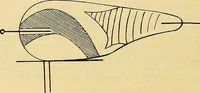 An illustration from Elektrizitäts-Durchgang in Gasen : (1906)