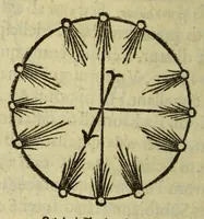 Picture 24 of 31 from Elementale cosmographicum : quo totius & astronomiæ & geographiæ rudimenta, certissimis breuissimiśque docentur apodixibus. : Recens castigatum & emendatum, figurísque &. annotationibus opportuniss. illustratum. Adiunximus huic libro Cosmographiæ introductio : cum quibusdam geometriæ ac astronomiæ principiis ad eam rem necessariis (1551), leaf 112