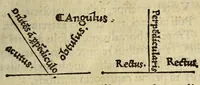 Picture 3 of 31 from Elementale cosmographicum : quo totius & astronomiæ & geographiæ rudimenta, certissimis breuissimiśque docentur apodixibus. : Recens castigatum & emendatum, figurísque &. annotationibus opportuniss. illustratum. Adiunximus huic libro Cosmographiæ introductio : cum quibusdam geometriæ ac astronomiæ principiis ad eam rem necessariis (1551), leaf 19