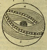Picture 18 of 31 from Elementale cosmographicum : quo totius & astronomiæ & geographiæ rudimenta, certissimis breuissimiśque docentur apodixibus. : Recens castigatum & emendatum, figurísque &. annotationibus opportuniss. illustratum. Adiunximus huic libro Cosmographiæ introductio : cum quibusdam geometriæ ac astronomiæ principiis ad eam rem necessariis (1551), leaf 98