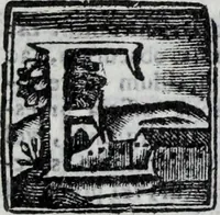 Picture 8 of 29 from Elementa recentioris philosophiae : ex melioris notae recentioribus philosophis, excerptum, congestum, adornatum (1774), leaf 206