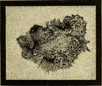 An illustration from Elementary astronomy; a beginner's text-book (1899)