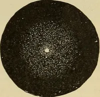 An illustration from Elementary astronomy; a beginner's text-book (1899)