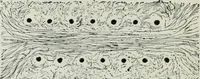 An illustration from An elementary book on electricity and magnetism and their applications (1919)