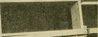 An illustration from Elementary cabinetwork for manual training classes (1909)