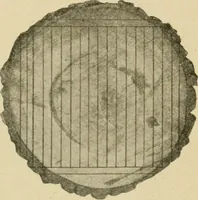 An illustration from Elementary cabinetwork for manual training classes (1909)