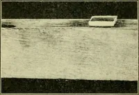 An illustration from Elementary cabinetwork for manual training classes (1909)
