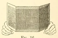 Picture 10 of 15 from Elementary color (1895), leaf 102