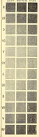An illustration from Elementary color (1895)