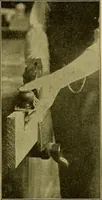 An illustration from Elementary course in woodwork ; designed for use in high and technical schools, with one hundred and thirty-four illustrations, by George Alexander Ross (1901)