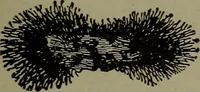 An illustration from Elementary electricity up-to-date; (1909)