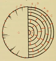 Picture 13 of 19 from Elementary embroidery (1915), leaf 118