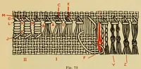 Picture 16 of 19 from Elementary embroidery (1915), leaf 145