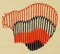 Picture 3 of 19 from Elementary embroidery (1915), leaf 52
