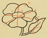Picture 11 of 19 from Elementary embroidery (1915), leaf 99