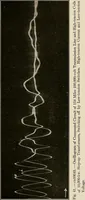 An illustration from Elementary lectures on electric discharges, waves and impulses, and other transients (1914)