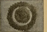 An illustration from Elementary lessons in electricity and magnetism (1906)