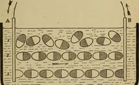 An illustration from Elementary lessons in electricity and magnetism (1906)