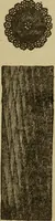 An illustration from Elementary lessons in electricity and magnetism (1906)