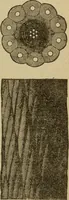 An illustration from Elementary lessons in electricity and magnetism (1906)