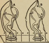 An illustration from Elementary lessons in electricity and magnetism (1906)