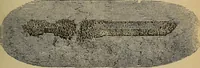 An illustration from Elementary lessons in electricity and magnetism (1906)