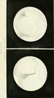 An illustration from Elementary lessons in astronomy (1889)