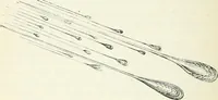 An illustration from Elementary lessons in astronomy (1889)