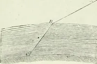 An illustration from Elementary lessons in astronomy (1889)