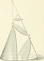 An illustration from Elementary lessons in astronomy (1889)