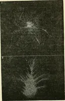 An illustration from Elementary lessons in astronomy (1889)