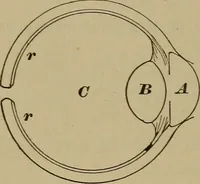 An illustration from Elementary lessons in physics; (1900)