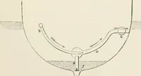 An illustration from Elementary lessons in steam machinery and the marine steam engine, with a short description of the construction of a battleship (1893)