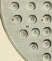 An illustration from Elementary lessons in steam machinery and the marine steam engine, with a short description of the construction of a battleship (1893)