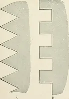 An illustration from Elementary lessons in steam machinery and the marine steam engine, with a short description of the construction of a battleship (1893)