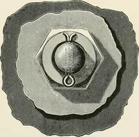 An illustration from Elementary lessons in steam machinery and the marine steam engine, with a short description of the construction of a battleship (1893)
