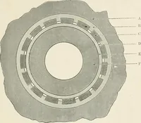 An illustration from Elementary lessons in steam machinery and the marine steam engine, with a short description of the construction of a battleship (1893)
