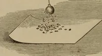 An illustration from Elementary lessons in electricity & magnetism (1895)