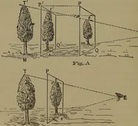 Picture 2 of 65 from Elementary linear perspective of form and shadow ... Complete in itself ... For draftsmen, artists, and industrial drawing courses in preparatory and high schools, etc. In two parts.. (1891), leaf 24