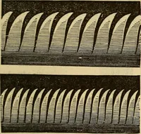 An illustration from Elementary natural philosophy : designed for high schools and academies (1881)