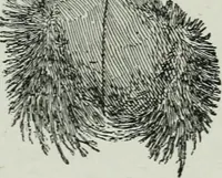 An illustration from Elementary physics for high schools (1914)