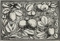 An illustration from Elementary principles of ornament (1890)