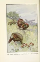 Picture 5 of 12 from Elementary Science by Grades Book Two: A Nature Study and Science Reader (1928), leaf 108