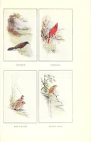 Picture 7 of 12 from Elementary Science by Grades Book Two: A Nature Study and Science Reader (1928), leaf 147