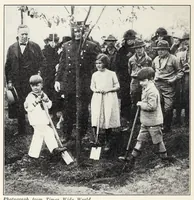 Picture 11 of 12 from Elementary Science by Grades Book Two: A Nature Study and Science Reader (1928), leaf 228