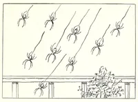 Picture 1 of 12 from Elementary Science by Grades Book Two: A Nature Study and Science Reader (1928), leaf 37