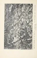 Picture 1 of 13 from Elementary Science by Grades Book Four: A Nature Study and Science Reader (1929), leaf 20